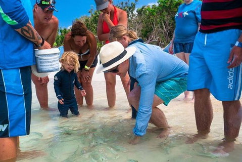 Whitehaven Beach And Hamilton Island Cruise - Accommodation Redcliffe 1