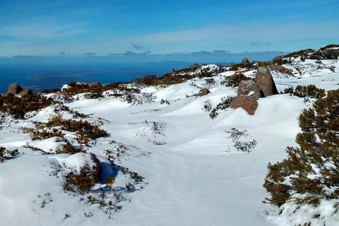Mount Wellington Ultimate Experience Tour From Hobart - Accommodation Redcliffe 1