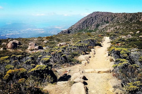 Mount Wellington Ultimate Experience Tour From Hobart - Accommodation Redcliffe 5