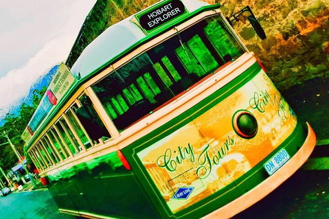 Hobart Half-Day Sightseeing Coach Tram Tour - Accommodation Redcliffe 5