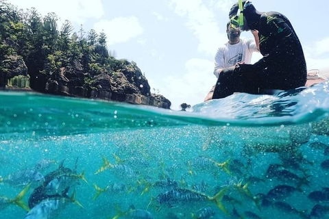 2 Night Small Group Whitsundays Sailing Adventure Aboard Mandrake - Accommodation Redcliffe 5
