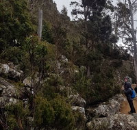 kunanyi / Mt. Wellington Guided Hiking Tour - Accommodation Redcliffe