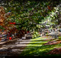 Fully Inclusive Blue Mountains Private Tour inc Scenic World  Featherdale entry - Accommodation Redcliffe