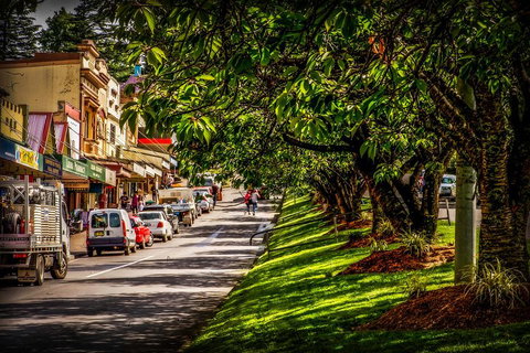 Fully Inclusive Blue Mountains Private Tour Inc Scenic World & Featherdale Entry - Accommodation Redcliffe 0
