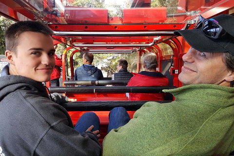 Fully Inclusive Blue Mountains Private Tour Inc Scenic World & Featherdale Entry - Accommodation Redcliffe 1