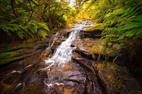 Fully Inclusive Blue Mountains Private Tour Inc Scenic World & Featherdale Entry - Accommodation Redcliffe 3