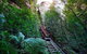 Fully Inclusive Blue Mountains Private Tour Inc Scenic World & Featherdale Entry - thumb 4