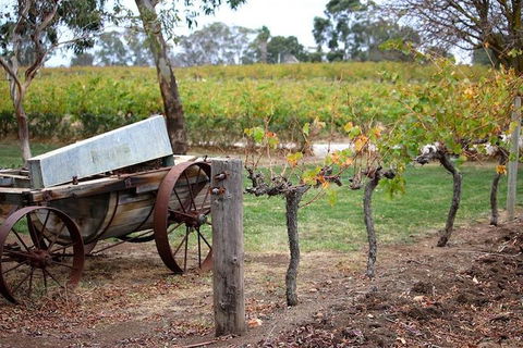 Maggie Beer Farm - Barossa Valley Regional Tour - Accommodation Redcliffe 1