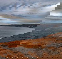 Kangaroo Island Luxury Small Group 'Flinders Chase Focus' Full Day Tour - Accommodation Redcliffe