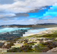 Kangaroo Island Luxury Small Group 'East End Explorer' Full Day Tour - Accommodation Redcliffe