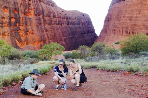 Afternoon Kata Tjuta Small Group Tour - Accommodation Redcliffe 2
