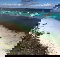 Experience Rottnest with Ferry  Bike Hire from Perth or Fremantle - Accommodation Redcliffe