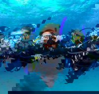 Great Barrier Reef Diving and Snorkeling Cruise from Cairns - Accommodation Redcliffe
