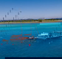 Ocean Free Green Island  Great Barrier Reef Snorkel Cruise Cairns 25 guests - Accommodation Redcliffe