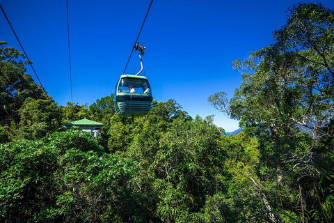 Classic Kuranda By Skyrail And Scenic Railway Including Rainforestation, Koala And Wildlife Park And Pamagirri Aboriginal Experi - Accommodation Redcliffe 0