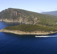 3-Hour Bruny Island Cruise from Adventure Bay Bruny Island - Accommodation Redcliffe