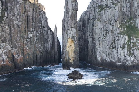 Tasman Island Cruises And Port Arthur Historic Site Day Tour From Hobart - Accommodation Redcliffe 2