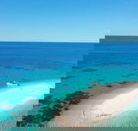Ocean Safari Great Barrier Reef Experience in Cape Tribulation - Accommodation Redcliffe