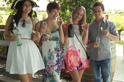 1/2 Day Swan Valley Wine Cheese & Chocolate Tour Inc Afternoon Cruise To Perth - Accommodation Redcliffe 4