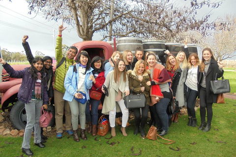 1/2 Day Swan Valley Wine Cheese & Chocolate Tour Inc Afternoon Cruise To Perth - Accommodation Redcliffe 5