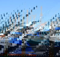 One Day Port Lincoln Tour - Tasting Eyre - Accommodation Redcliffe
