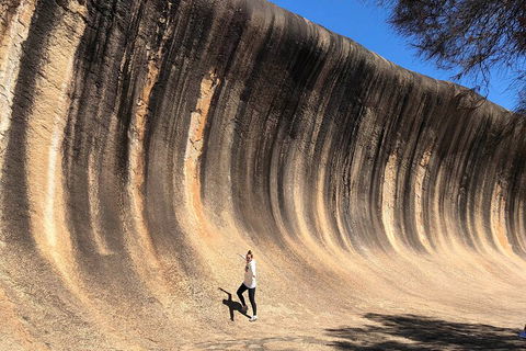 6 Day Esperance & Margaret River Adventure Tour - Accommodation Redcliffe 4