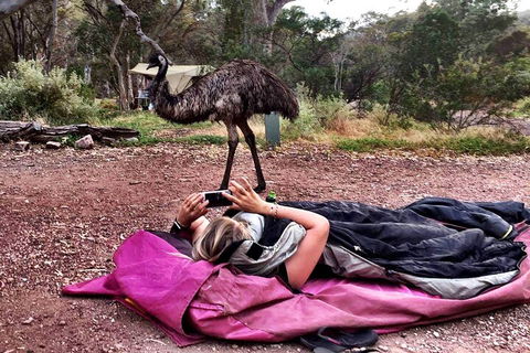 6 Day Esperance & Margaret River Adventure Tour - Accommodation Redcliffe 5