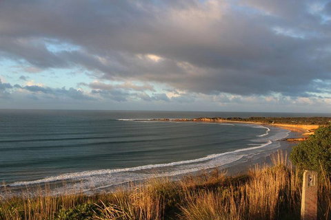 Private Great Ocean Road Day Tour With Early Departure & Early Return (11 Hours) - Accommodation Redcliffe 0
