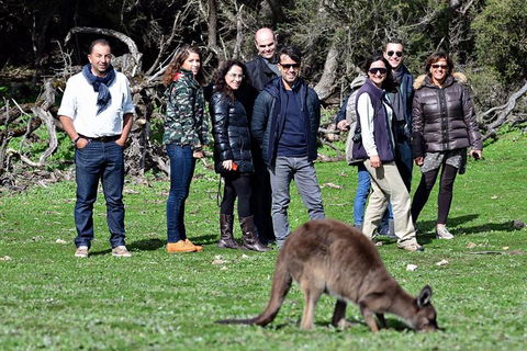 2-Day Kangaroo Island 4WD Small-Group Tour From Adelaide - Accommodation Redcliffe 1