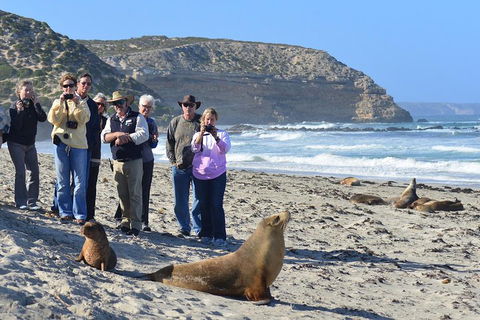 2-Day Kangaroo Island 4WD Small-Group Tour From Adelaide - Accommodation Redcliffe 3