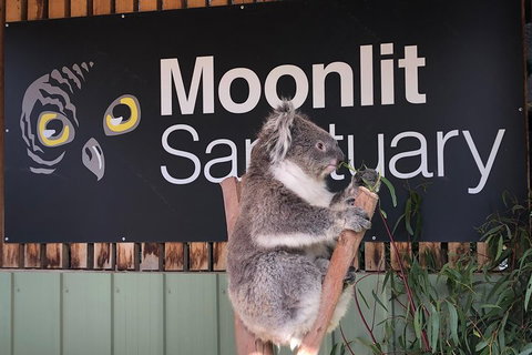 Small-Group Phillip Island Day Trip From Melbourne - Accommodation Redcliffe 3