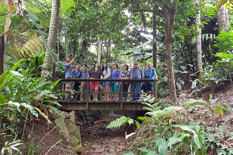 Cairns Shore Excursion: Cairns City Sights & Surrounds Tour - Accommodation Redcliffe 1