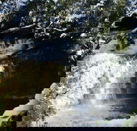 Cradle Mountain Day Tour from Launceston Including Lunch - Accommodation Redcliffe