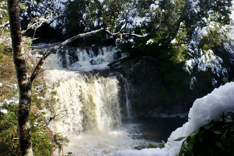 Cradle Mountain Day Tour From Launceston Including Lunch - Accommodation Redcliffe 0