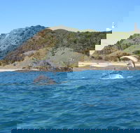 Kayaking with Dolphins in Byron Bay Guided Tour - Accommodation Redcliffe