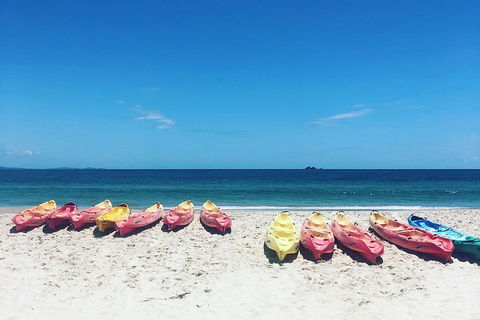 Kayaking With Dolphins In Byron Bay Guided Tour - Accommodation Redcliffe 1