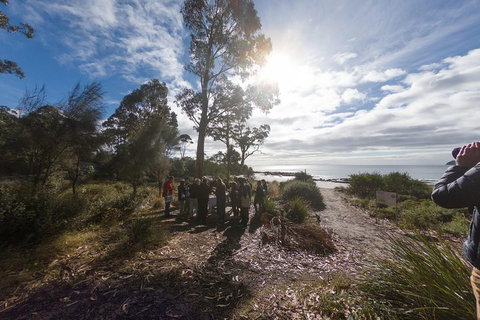 Bruny Island Day Tour, Includes Lunch And Exclusive Lighthouse Tour - Accommodation Redcliffe 5