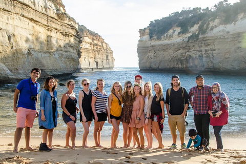 Great Ocean Road 2 Day Highlights Tour And Sunset 12 Apostles - Accommodation Redcliffe 4