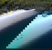 All-Inclusive Fraser Island Day Tour - Accommodation Redcliffe