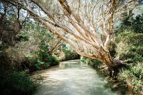 3-Day Fraser Island Resort Package - Accommodation Redcliffe 5