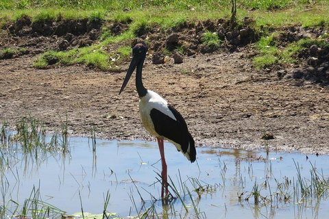 Darwin To Kakadu Day Trip By Air Including Yellow Water Cruise - Accommodation Redcliffe 0