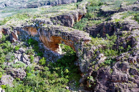 Darwin To Kakadu Day Trip By Air Including Yellow Water Cruise - Accommodation Redcliffe 4