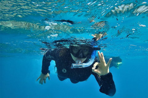 3 Day Whitsundays Sailing And Diving Adventure: Kiana - Accommodation Redcliffe 0