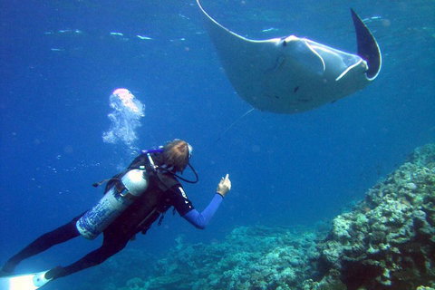 3 Day Whitsundays Sailing And Diving Adventure: Kiana - Accommodation Redcliffe 3
