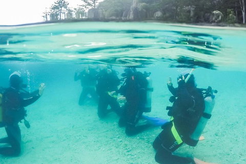 3 Day Whitsundays Sailing And Diving Adventure: Kiana - Accommodation Redcliffe 4