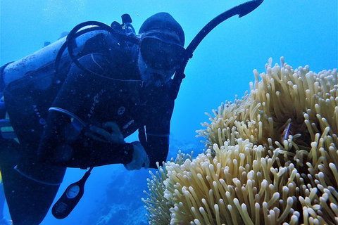 3 Day Whitsundays Sailing And Diving Adventure: Kiana - Accommodation Redcliffe 5