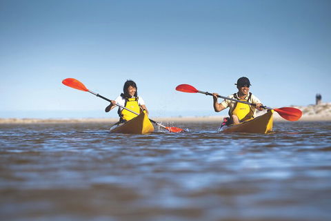 Kangaroo Island Self-Guided Kayaking On The Harriet River - Accommodation Redcliffe 2
