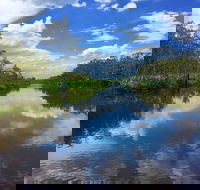 Noosa Everglades Serenity Cruise  Highlights Tour Inc. Lunch  Cruise - Accommodation Redcliffe