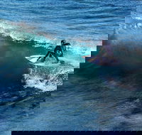 Great Ocean Road Highlights Tour - 2 Days 1 Night - Accommodation Redcliffe
