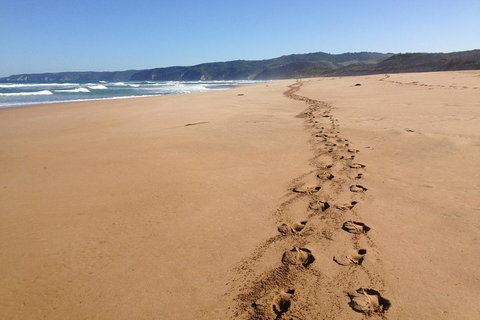 Private Great Ocean Road Full Day Tour - 1 Day Tour - Accommodation Redcliffe 5